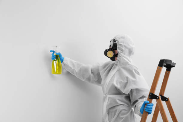 Best Mold Remediation for Healthcare Facilities  in Joliet, IL